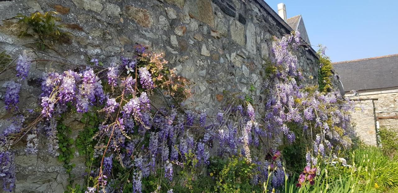 Maison Papillons Plomodiern Buitenkant foto